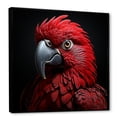 thumbnail image 2 of Designart "Elegant Crimson Tropical Parrot" Parrot Floater Framed Wall Art Living Room, 2 of 5