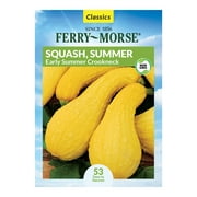 Ferry-Morse 2200MG Squash Summer Early Summer Crookneck Vegetable Plant Seeds Full Sun