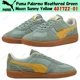 thumbnail image 1 of PU & MA Palermo Weathered Green Moon Sunny Yellow 401722-01 Men's Size, 1 of 6