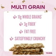 (2 pack) Wasa Multi Grain Crispbread, Multigrain Crackers, NonGMO