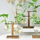 thumbnail image 5 of Terrario de bulbos de cristal para plantas, jarrón transparente, macetas retro con soporte de madera Style2, 5 of 6