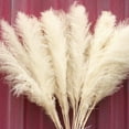 thumbnail image 2 of 10pcs 40'' Pampas Grass Tall Decor - Pompas Floral, Tall Pampas Grass for Floor Vases, Living Room Floor, Floor Plants, Plumas para, and Grass Wall Decor, 2 of 7