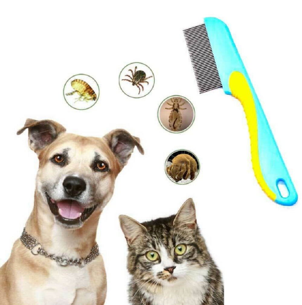 Lice Comb Hair Brush Remove Lice Eggs Ticks Nit Stainless Steel 