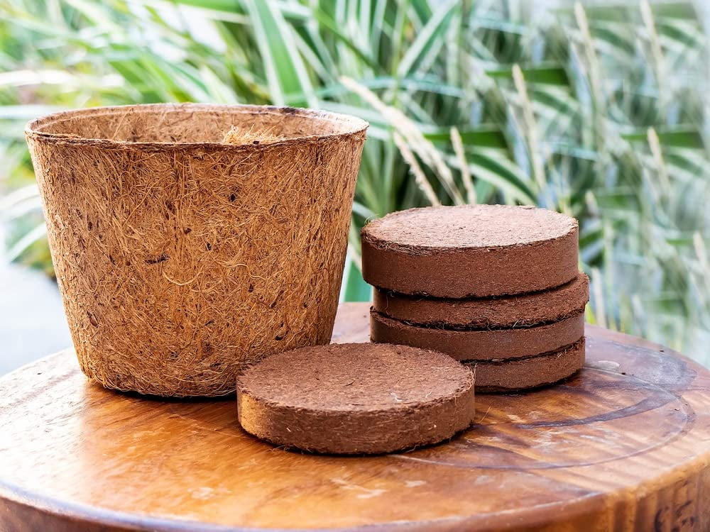 Envelor Coco Coir Plant Pots Seed Starter Tray Biodegradable Seed Starter Pots Coco Peat Pots Seedling Cups Small Plant Pots Germination Nursery Planting Tray Plant Starter Pots, 6 Inches 5 Pack