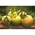 thumbnail image 3 of Perry, Rachel 24x17 Black Modern Framed Museum Art Print Titled - Jills Green Apples I, 3 of 5