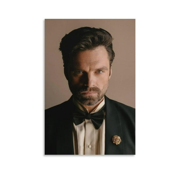 Sebastian Stan Poster (17) Wall Art Poster Bedroom Prints Home Decor Hanging Picture Canvas Painting Posters