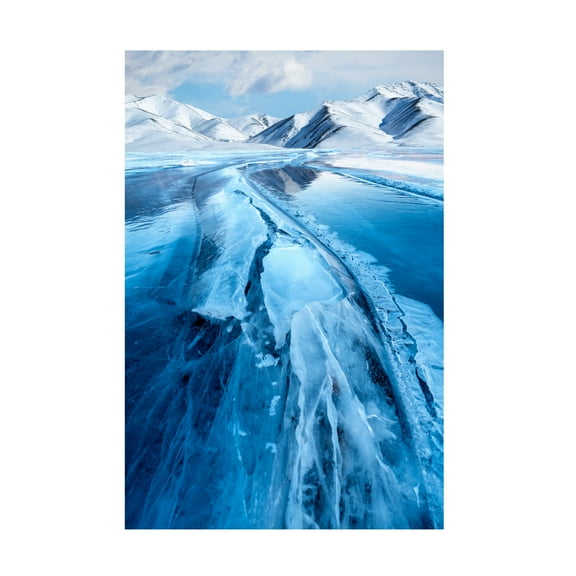 Trademark Fine Art SPIDER Blue Ice Canvas Wall Art