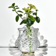 thumbnail image 3 of Promotion!Angel Hanging Glass Plant Flower Vase Hydroponic Pot Office 4 Pack, 3 of 6