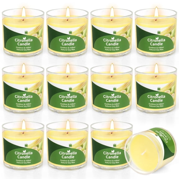 12PCS Citronella Candle Portable Small Outdoor Candle Bulk for Garden Picnic Camping, 25.2oz Total
