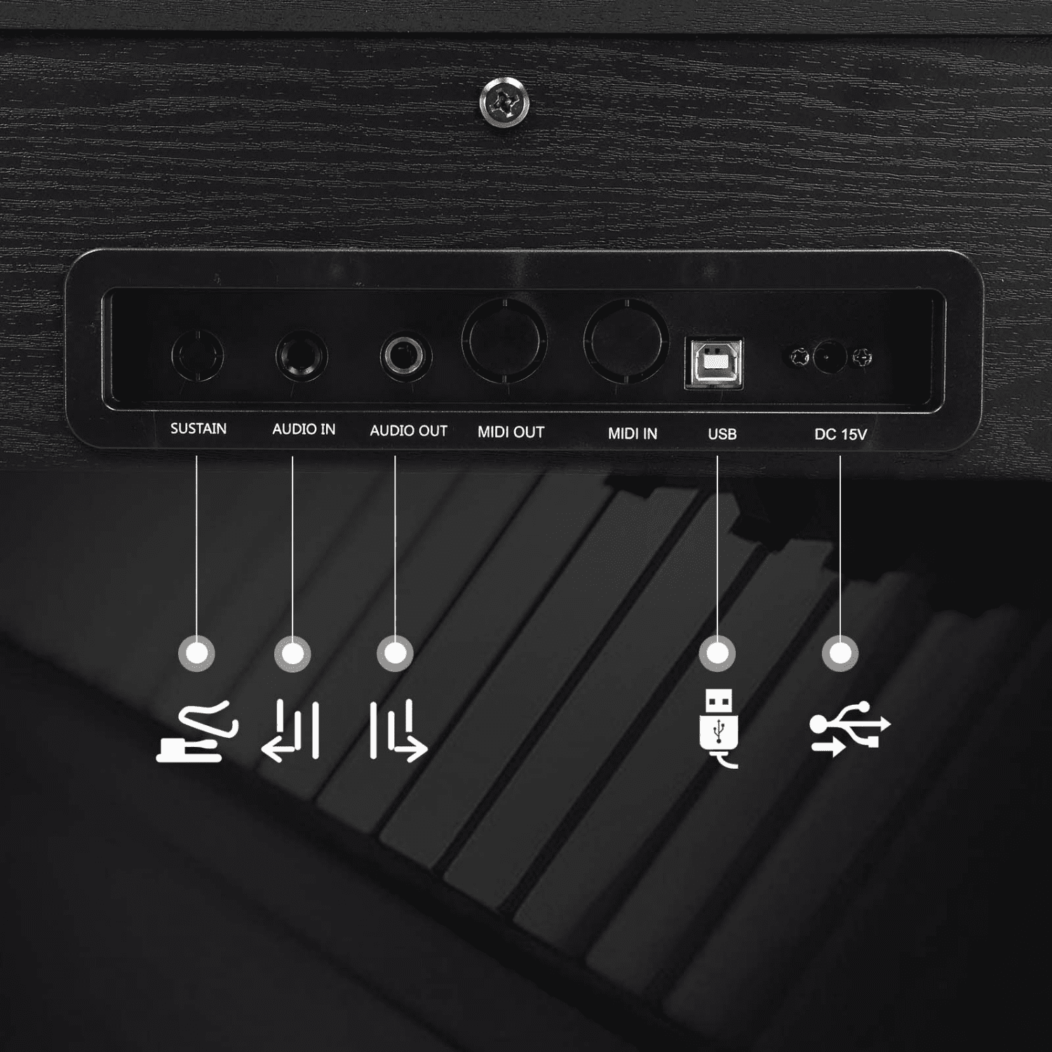Hassch 88 Key Full Weighted Digital Piano, Beginners Electronic Keyboard with Metal Stand, Headphone, Power Adapter, and Triple Pedals, Black