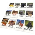 thumbnail image 4 of Montessori Zoo Safari Animal Match MEROCO con 12 figuras, 4 of 8
