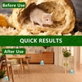 thumbnail image 6 of Mouse RodentRepellent, 10 Pack Peppermint Lemon Oil Mice Repellent for Squirrel Rats Spider Pests, Natural Deterrent for Kitchen, Warehouse, Car, Indoor, Outdoor, Safe for Pets Family, 6 of 7