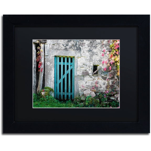 Trademark Fine Art "The Old Wooden Door" Canvas Art by Philippe Sainte-Laudy Black Matte, Black Frame