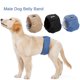 thumbnail image 1 of Pañal impermeable para mascotas, 3 uds., lavable, para perro macho, 1 of 8