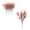 Brown, variant on Dvumao 5Pcs Artificial Leaves Decorations Living Room Ornaments Scene Arrangement Art Floral Arrangements