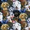 David Textiles, Inc. 45" 100% Cotton Valentine's Puppies Craft Fabric By the Yard, Multi-color