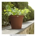 thumbnail image 4 of Kit 3 Macetas Rattan Del 30, Plato Anti Escurrimiento Lbr  Ladrillo, 4 of 4