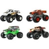 Hot Wheels Monster Jam 1:24 Vehicle (Styles May Vary)