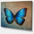 thumbnail image 2 of Design Art - Papillon Vintage Bleu, 2 of 3