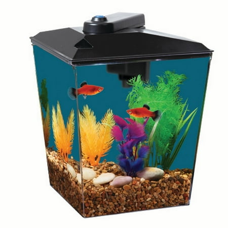 Aqua Culture 1-Gallon Aquarium Kit with LED Lighting, Power Filter, and 5-Volt