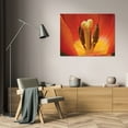 thumbnail image 3 of Lee Peterson 24x17 Gallery Wrapped Canvas Wall Art Titled - Tulip Up Close I, 3 of 4