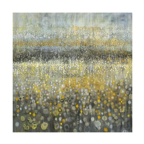 Trademark Fine Art 'Rain Abstract II' Canvas Art by Danhui Nai