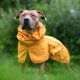 thumbnail image 5 of Impermeable para perro Spark Paws resistente al agua, al viento y reflectante 3XL, 5 of 5