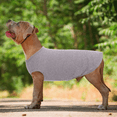 thumbnail image 5 of QBLEEV Dog Shirt for Small Dogs Cats Pet Striped T-Shirt Summer Cool Vest Puppy&nbsp; Top Soft Cotton&nbsp; &nbsp;(Gray XL), 5 of 7