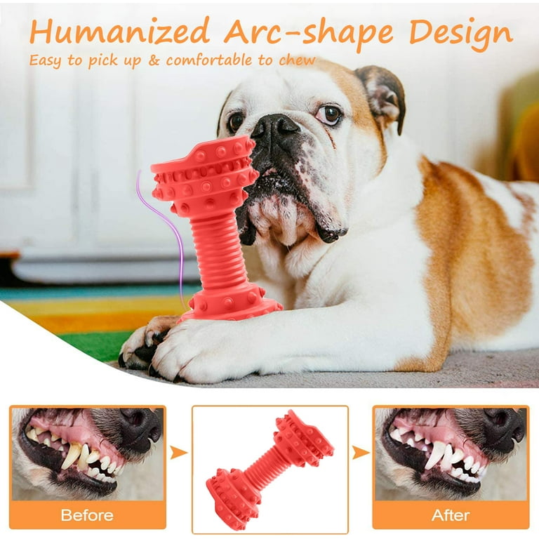 Pawfectpals Indestructible Dumbbell Dog Chew Toys for Aggressive