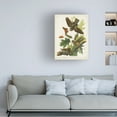 thumbnail image 3 of John James Audubon 'Whip Poor Will' Canvas Art, 3 of 3