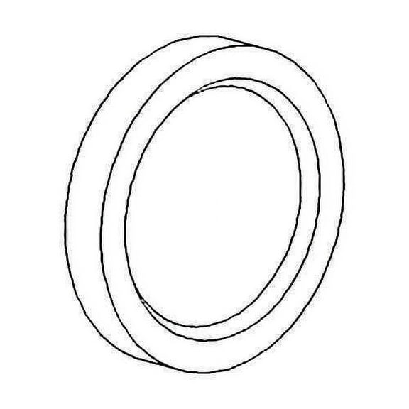 Rear Axle Outer Seal, New, Massey Ferguson, 195677M1