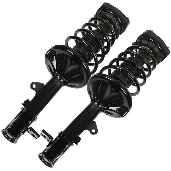 ECCPP 2pcs Rear Pair Complete Strut Assembly Shock Absorber for 2003-2008 for Hyundai Tiburon