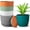 Multicolor, variant on Plant Pots 6 Inch Set of 5, Flower Pots with Multi Mesh Drainage Holes, Planters for Indoor Outdoor Garden Plants and Flowers (Multicolor)