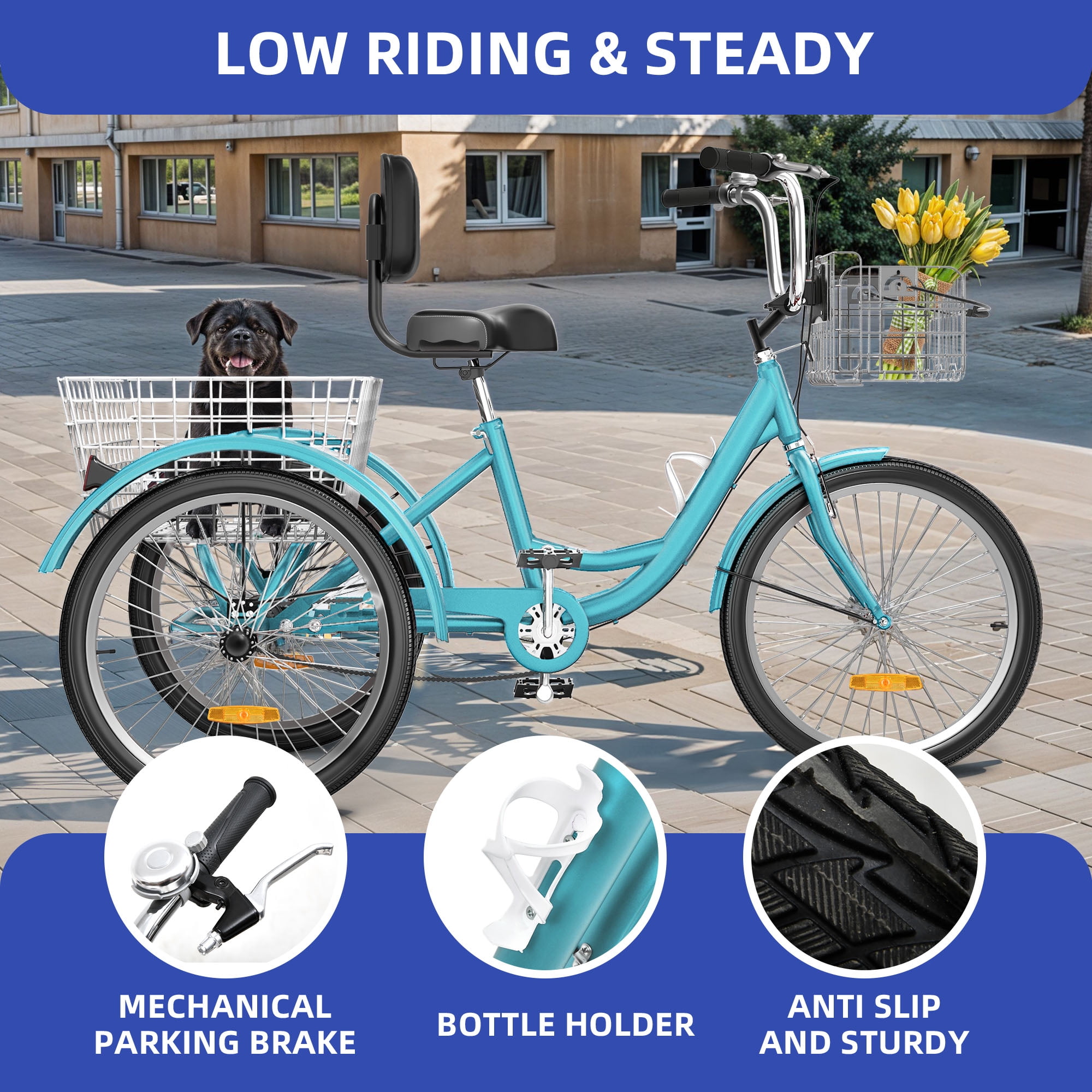 ModFusion 24" 1-Speed Adult Tricycle, Mint Green