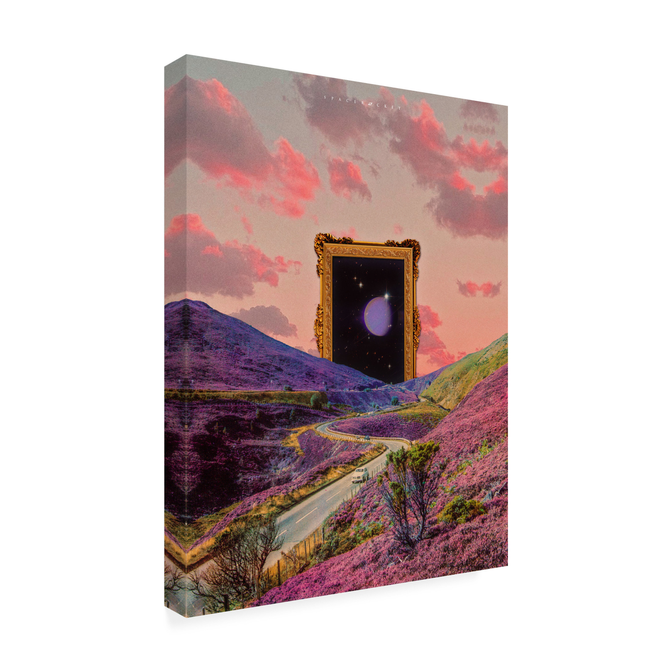 Trademark Fine Art spacerocket art 357 Canvas Wall Art