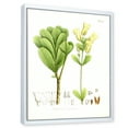 thumbnail image 3 of Designart 'Ancient Brazilian Plant III' Traditional Framed Canvas Wall Art Print, 3 of 5