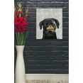 thumbnail image 3 of Epic Graffiti 'Black Labrador With Bone on Nose' by Fab Funky, Canvas Wall Art, 20"x24", 3 of 3