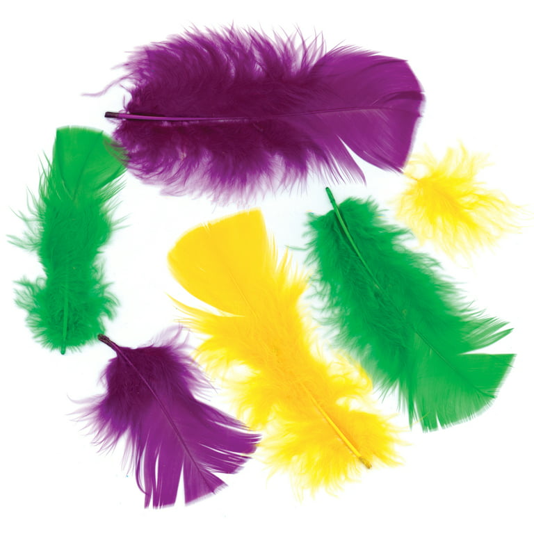 Turkey Plumage Feathers .5oz-Purple, Gold & Green 