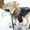 A, variant on Stylish Winter Dog Coat: Collar Leather Jacket For Warmth And Fashion For Cold Weather Adventures