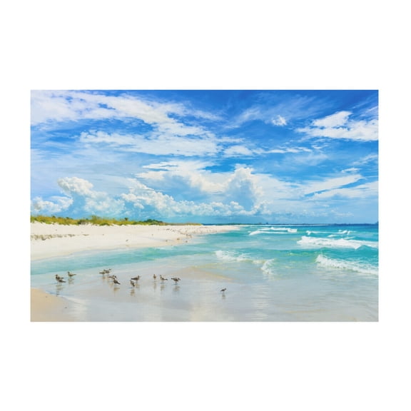 Sea Beach Ocean Coastal Landscape Canvas Wall Art Nature Seabirds Modern Seascape Artwork for Living Room Bedroom Office Wall Decoration 12*18in