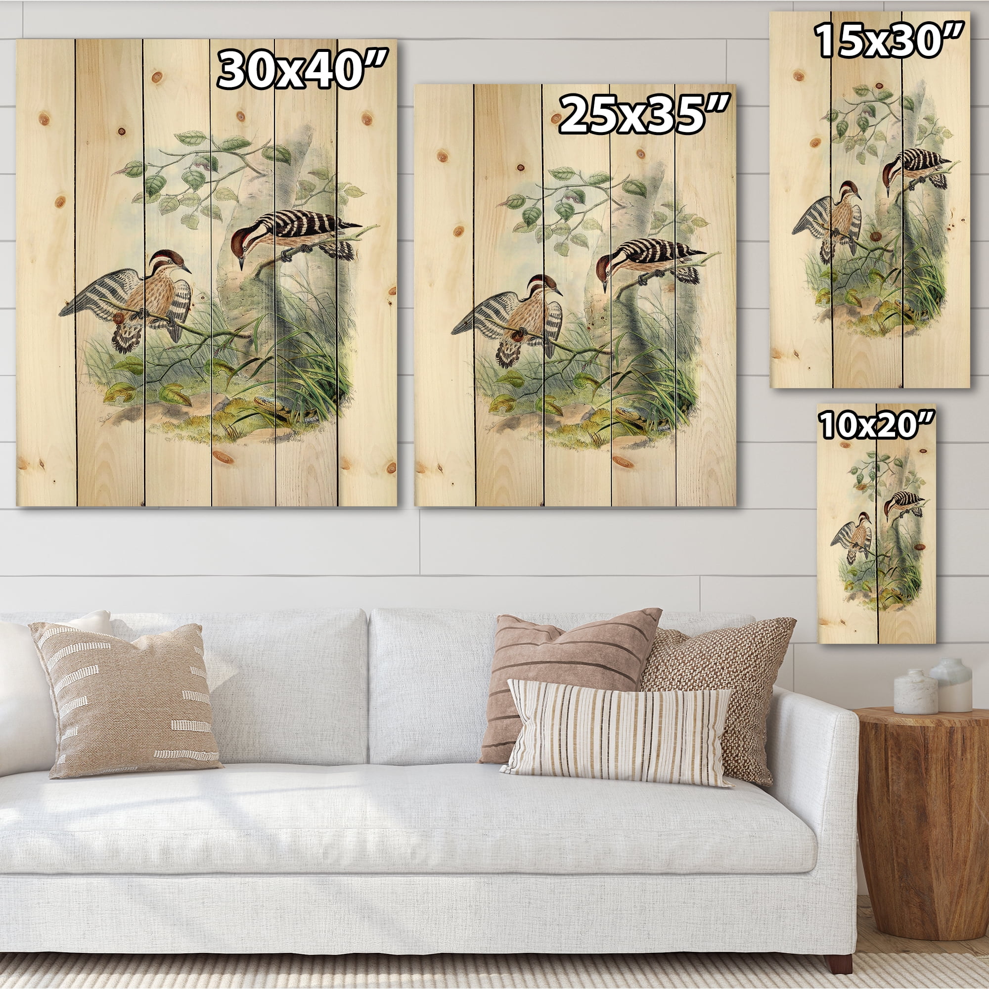 Designart 'Ancient Birds In The Wild I' Traditional Print on Natural Pine Wood