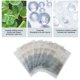 thumbnail image 4 of Mascarilla ANGGREK Otros, 4 of 8