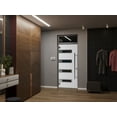 thumbnail image 2 of Front Exterior Prehung Steel Door / Ronex 0131 Black Enamel / Top Exterior Window Sidelite / Stainless Inserts Entry Metal Modern Painted W36" x H80+16" Right hand Inswing, 2 of 5