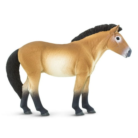 Childrens Safari Animals - Safari Ltd Przewalskis Horse Animal Educational Kids Toy Figure