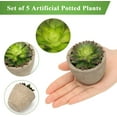 thumbnail image 3 of Artificial Succulent Plants Potted, Assorted Decorative Faux Succulent Potted Fake Cactus Cacti Plants with Pots, Set of 5, 3 of 5