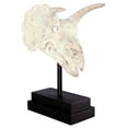 thumbnail image 3 of Design Toscano Triceratops Dinosaur Skull Fossil Statue on Museum Mount, 3 of 9