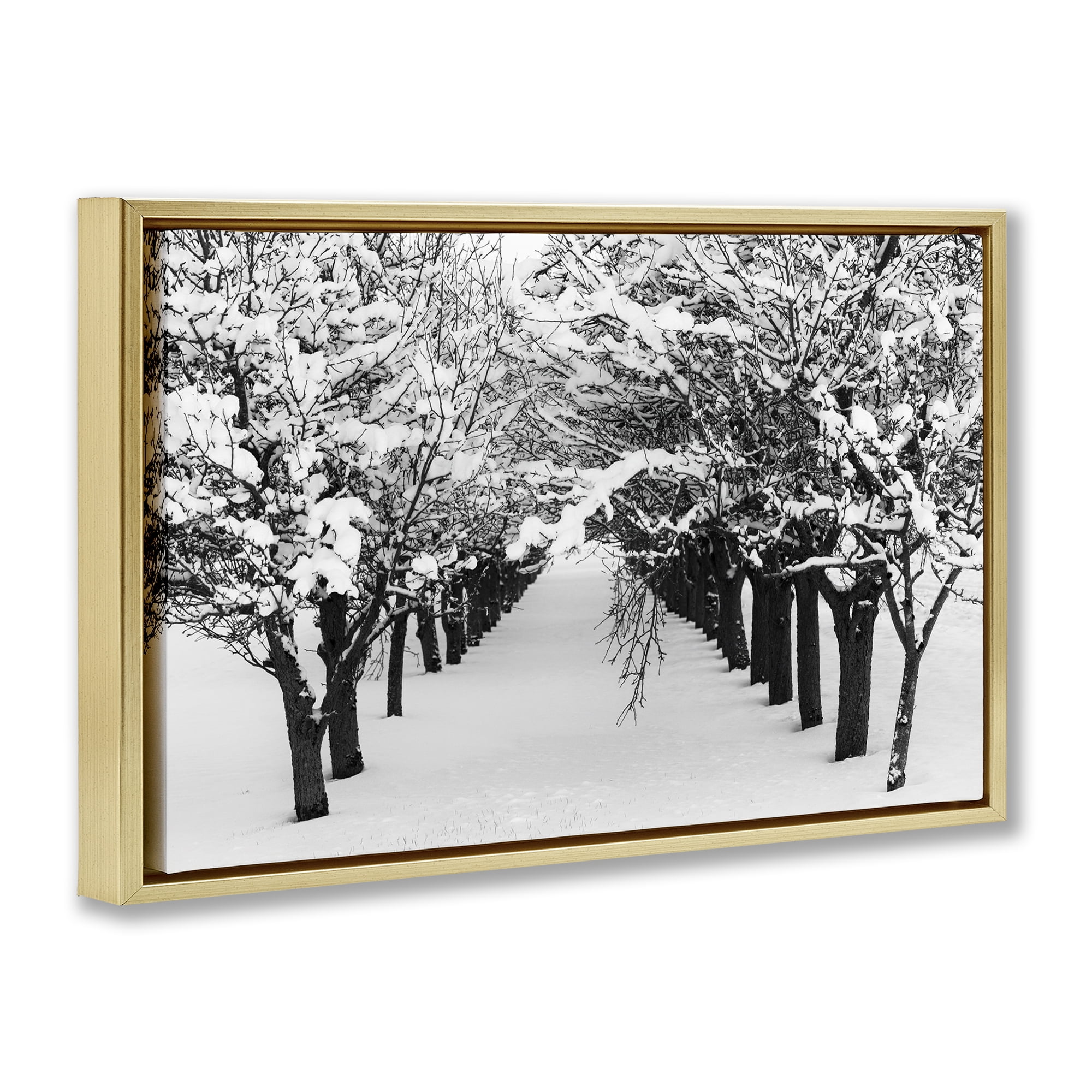 Stupell Industries Winter Tree Pathway Landscape & Nature Photography Gold Floater Framed Canvas Art Print Wall Art, 31 x 21