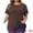 Brown, variant on Unique Bargains Women's Plus Size Short Sleeve Crew Neck Striped Top 1X Rainbow
