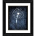 thumbnail image 1 of Robinson, Tamara 20x24 Black Ornate Wood Framed with Double Matting Museum Art Print Titled - Dandelion on Blue III, 1 of 4
