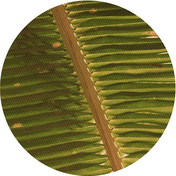 Ahgly Company Machine Washable Indoor Round Transitional Bakers Brown Area Rugs, 5' Round